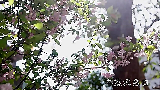 Juq 512 [Reducing Mosaic] After The Graduation Ceremony...A Gift From Your Mom In Law To You Now That YouRe An Adult Miki Akai