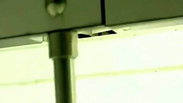 Pussies up close from under toilet doors