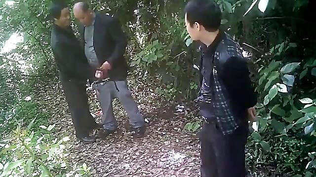 China Cruising in the Park from edicosta