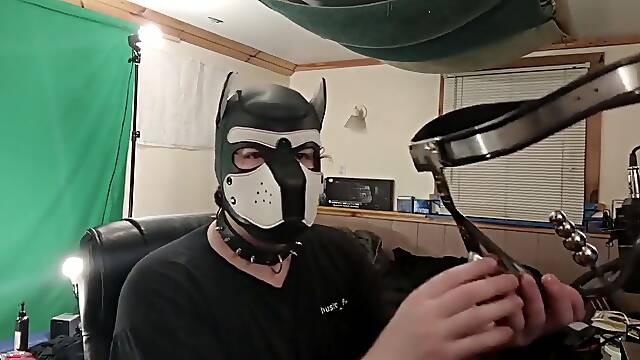 Model T Chastity Belt Review