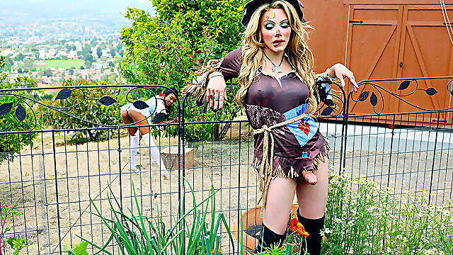 Big tits t-girl scarecrow Ariel Demure awakens with a boner