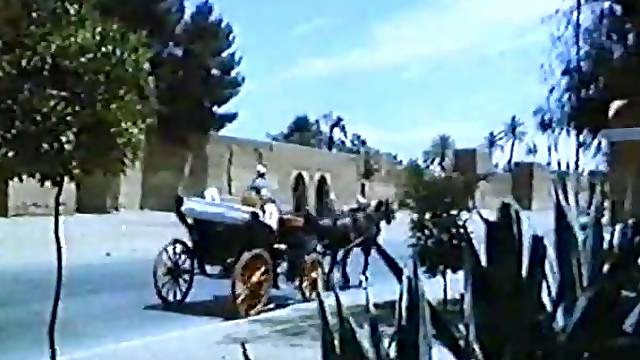 Pontello Classic