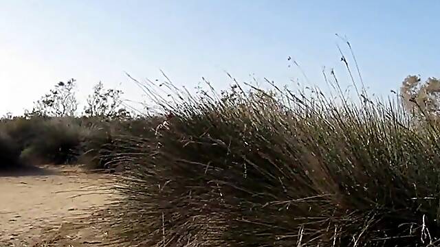 Maspalomas dunas