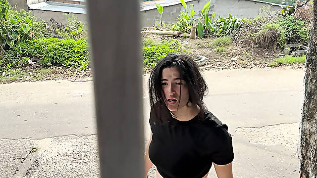 The Streetwalker, Picked up From the Street, Picked up Another time at Home