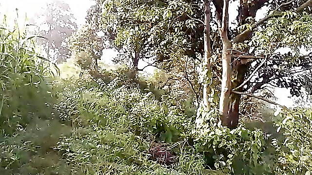 Jungli grandfather Ko field mai muth maarte hue dekha