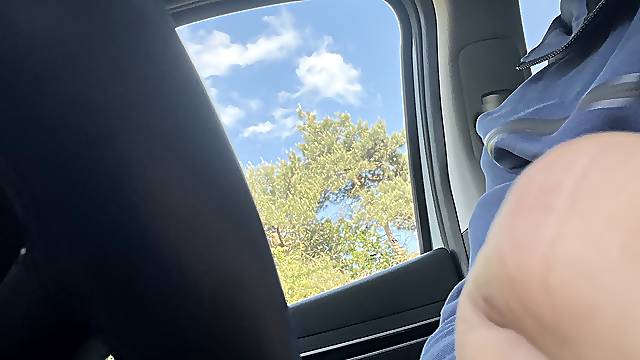 Cruising in the car, stranger jump in and sucked me 