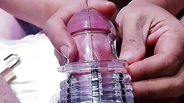 Elf gives and places chastity cage on slave