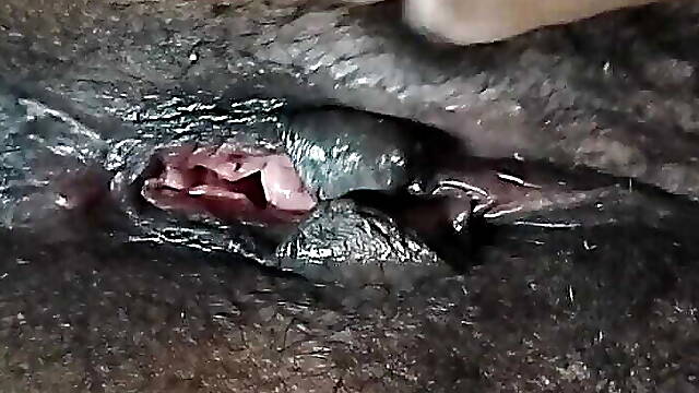 Masti New gris full time Maza