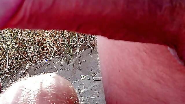 Public - Dutch Beach Suck