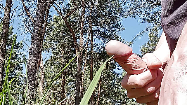 Quick jerk off in the woods
