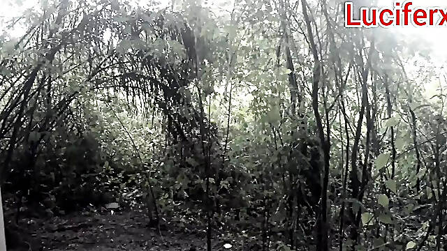 BBC in a forest sides