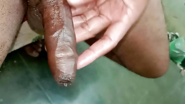 Rajasthani Desi land