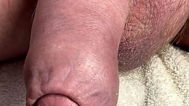 Cock head peeking out of foreskin as I piss