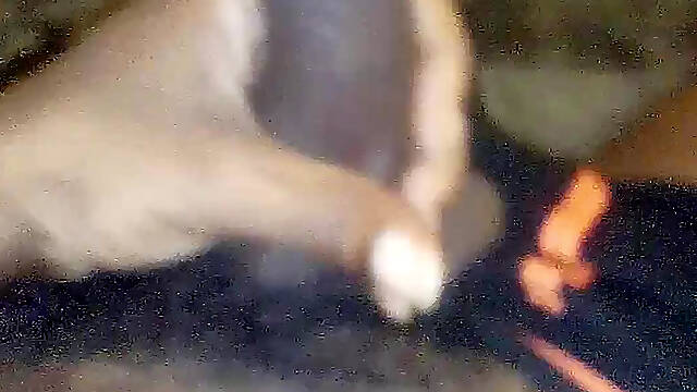Extremely Large Big Black Cock Jacking It