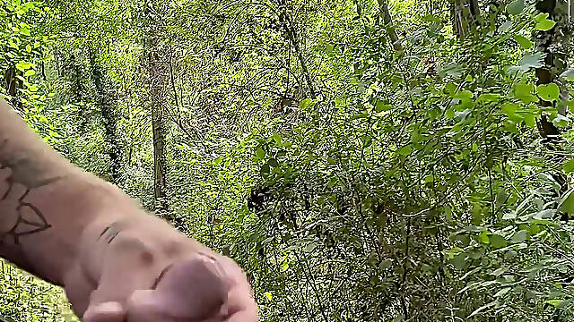 Walk in the woods