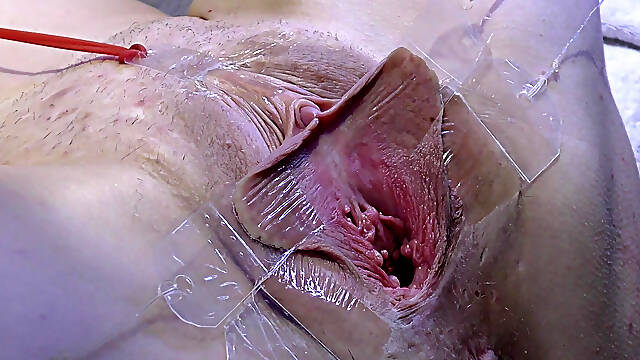3 Licking Pussy Spread Far From Very Close