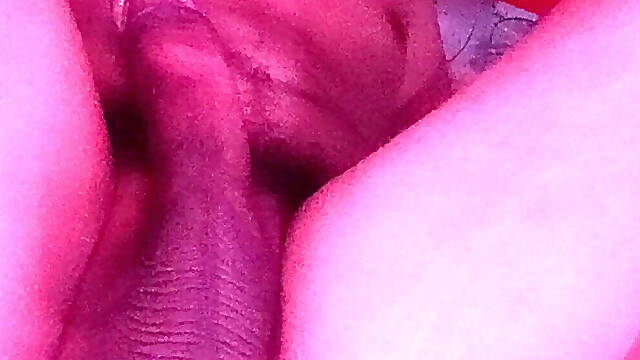 Warm My Milk Day 1652