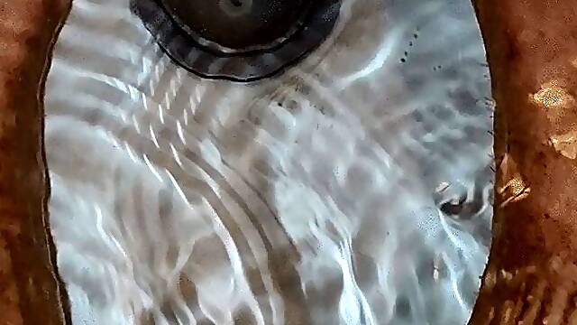 Tempest giving update about her fall