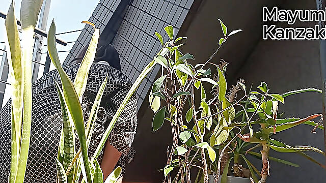 I Pee in the Potted Plant Again